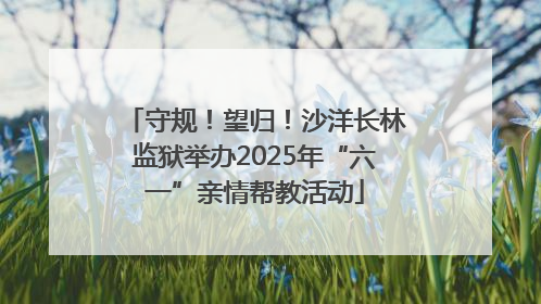 守规！望归！沙洋长林监狱举办2025年“六一”亲情帮教活动