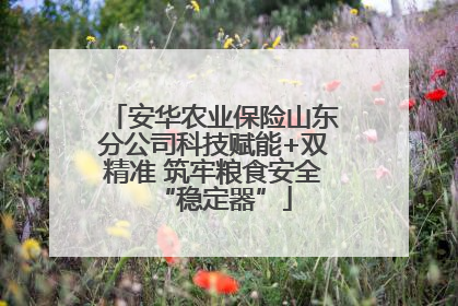 安华农业保险山东分公司科技赋能+双精准 筑牢粮食安全“稳定器”