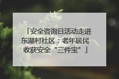 安全咨询日活动走进东湖村社区：老年居民收获安全“三件宝”