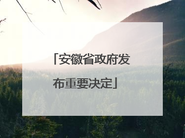 安徽省政府发布重要决定