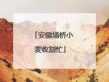 安徽埇桥小麦收割忙
