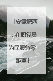 安徽肥西：在职党员为民服务零距离