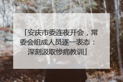 安庆市委连夜开会，常委会组成人员逐一表态：深刻汲取惨痛教训