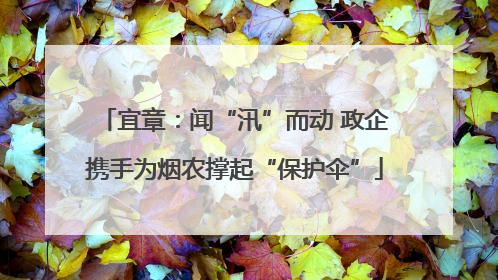 宜章：闻“汛”而动 政企携手为烟农撑起“保护伞”