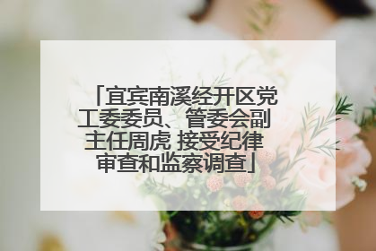 宜宾南溪经开区党工委委员、管委会副主任周虎 接受纪律审查和监察调查