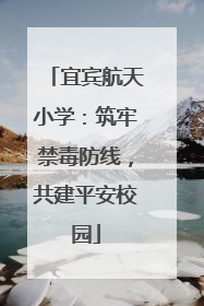 宜宾航天小学：筑牢禁毒防线，共建平安校园