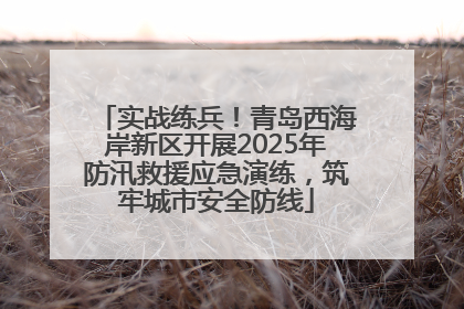实战练兵！青岛西海岸新区开展2025年防汛救援应急演练，筑牢城市安全防线