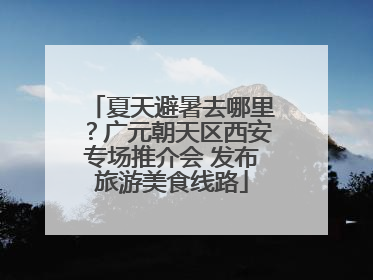 夏天避暑去哪里？广元朝天区西安专场推介会 发布旅游美食线路