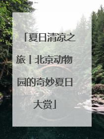 夏日清凉之旅丨北京动物园的奇妙夏日大赏
