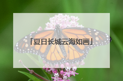 夏日长城云海如画
