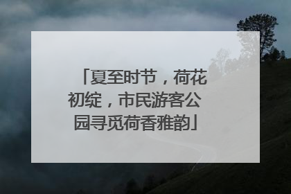 夏至时节，荷花初绽，市民游客公园寻觅荷香雅韵