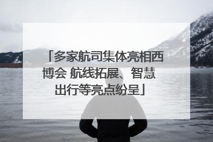 多家航司集体亮相西博会 航线拓展、智慧出行等亮点纷呈