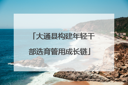 大通县构建年轻干部选育管用成长链
