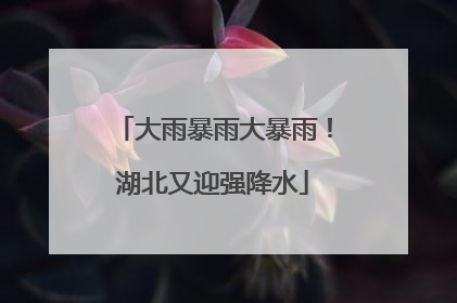 大雨暴雨大暴雨！湖北又迎强降水