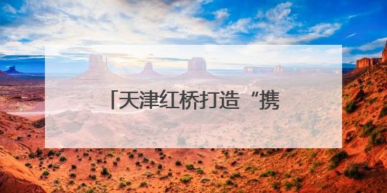 天津红桥打造“携手互联·健康到家”上门检测服务