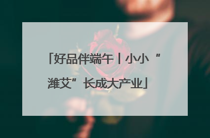 好品伴端午丨小小“潍艾”长成大产业