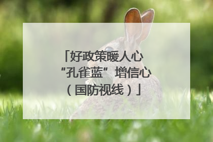 好政策暖人心 “孔雀蓝”增信心（国防视线）
