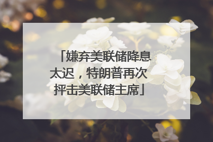 嫌弃美联储降息太迟，特朗普再次抨击美联储主席