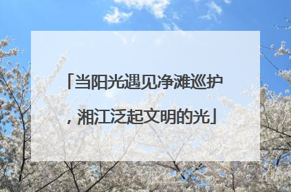 当阳光遇见净滩巡护，湘江泛起文明的光