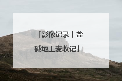 影像记录丨盐碱地上麦收记