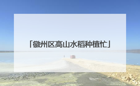 徽州区高山水稻种植忙