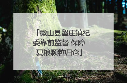 微山县留庄镇纪委靠前监督 保障夏粮颗粒归仓