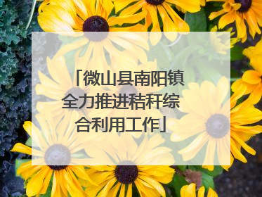 微山县南阳镇全力推进秸秆综合利用工作