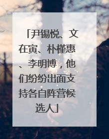 尹锡悦、文在寅、朴槿惠、李明博，他们纷纷出面支持各自阵营候选人