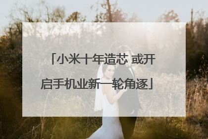 小米十年造芯 或开启手机业新一轮角逐