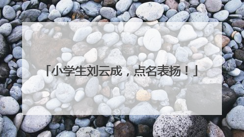 小学生刘云成，点名表扬！