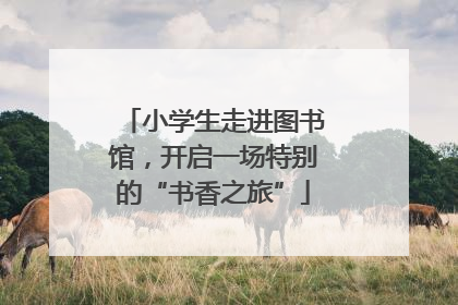 小学生走进图书馆，开启一场特别的“书香之旅”