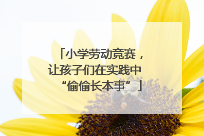 小学劳动竞赛，让孩子们在实践中“偷偷长本事”