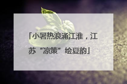 小暑热浪涌江淮，江苏“凉策”绘夏韵