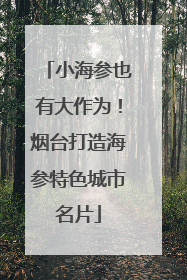 小海参也有大作为！烟台打造海参特色城市名片