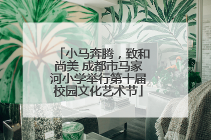 小马奔腾，致和尚美 成都市马家河小学举行第十届校园文化艺术节