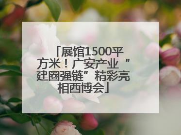 展馆1500平方米！广安产业“建圈强链”精彩亮相西博会