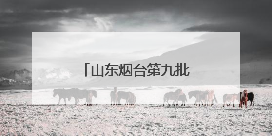 山东烟台第九批组团式援藏医疗队抵达聂拉木
