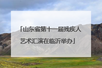 山东省第十一届残疾人艺术汇演在临沂举办