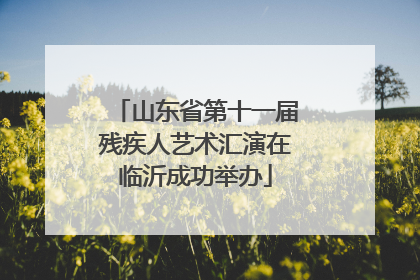 山东省第十一届残疾人艺术汇演在临沂成功举办