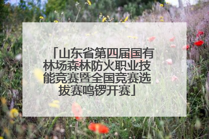 山东省第四届国有林场森林防火职业技能竞赛暨全国竞赛选拔赛鸣锣开赛