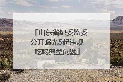 山东省纪委监委公开曝光5起违规吃喝典型问题