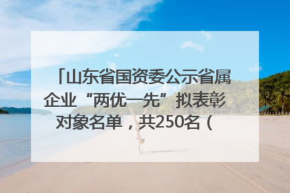 山东省国资委公示省属企业“两优一先”拟表彰对象名单，共250名（个）党员和党组织