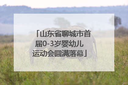 山东省聊城市首届0-3岁婴幼儿运动会圆满落幕