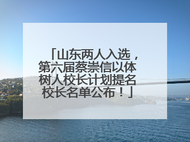 山东两人入选，第六届蔡崇信以体树人校长计划提名校长名单公布！