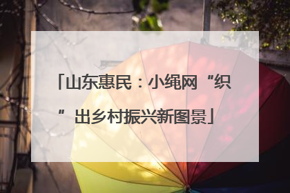 山东惠民：小绳网“织”出乡村振兴新图景