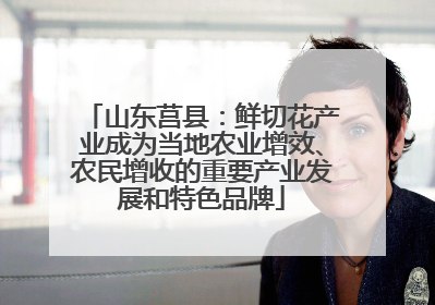 山东莒县：鲜切花产业成为当地农业增效、农民增收的重要产业发展和特色品牌