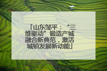 山东邹平：“三维驱动”锻造产城融合新典范，激活城镇发展新动能