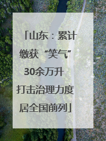 山东：累计缴获“笑气”30余万升 打击治理力度居全国前列