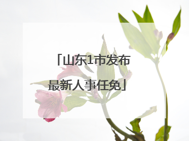 山东1市发布最新人事任免