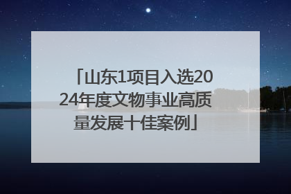 山东1项目入选2024年度文物事业高质量发展十佳案例